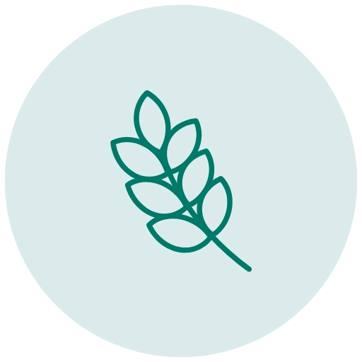 type of rice